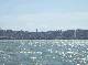 DSCF3529.jpg