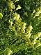 DSCF3595.jpg