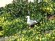DSCF3603.jpg