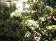 DSCF3605.jpg
