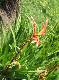 DSCF3607.jpg