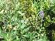 DSCF3610.jpg