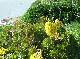 DSCF3613.jpg