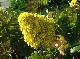 DSCF3614.jpg