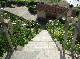 DSCF3619.jpg