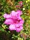 DSCF3622.jpg