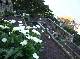 DSCF3624.jpg