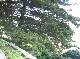 DSCF3625.jpg