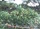 DSCF3626.jpg