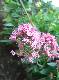 DSCF3627.jpg