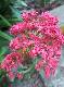 DSCF3628.jpg
