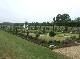 DSCF5225.jpg