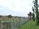 DSCF6578.jpg