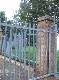 DSCF6597.jpg