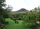 DSCF6598.jpg