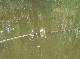 DSCF6607.jpg
