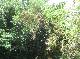 DSCF6609.jpg