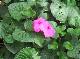 DSCF6610.jpg
