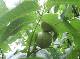 DSCF6612.jpg