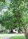 DSCF6613.jpg