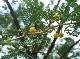 DSCF6614.jpg