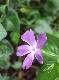 DSCF6617.jpg