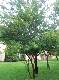 DSCF6619.jpg
