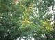 DSCF6620.jpg