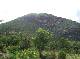 DSCF6622.jpg