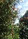 DSCF6625.jpg