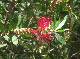 DSCF6626.jpg