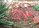 DSCF6632.jpg
