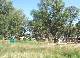 DSCF6660.jpg