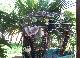 DSCF6664.jpg