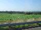 DSCF6681.jpg
