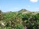 DSCF6687.jpg