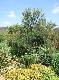 DSCF6689.jpg