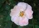DSCF6692.jpg