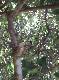 DSCF6693.jpg