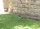 DSCF6694.jpg