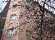 DSCF6768.jpg