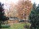 DSCF6784.jpg