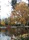 DSCF6785.jpg