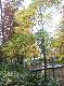 DSCF6786.jpg