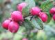 DSCF6797.jpg