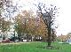 DSCF6814.jpg