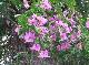 DSCF0162.jpg