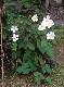 DSCF0165.jpg