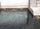 DSCF0177.jpg