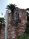DSCF0191.jpg